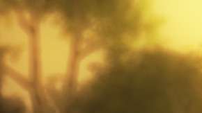 Un estudio reveló que impacto tendría en las personas si se comprueba la existencia de vida extraterrestre.