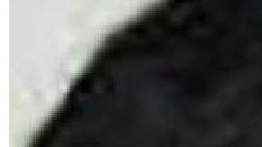 Ullah, de origen blangadesí, fue acusado hoy de cargos federales.