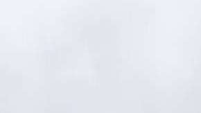 La Patrulla Estatal de Washington compartió imágenes en Twitter.