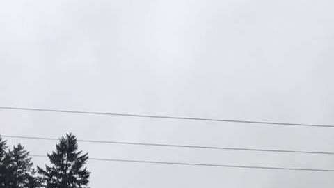 La Patrulla Estatal de Washington compartió imágenes en Twitter.