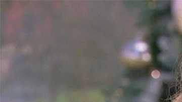 Amethyst Realm dice tener relaciones sexuales con espíritus.