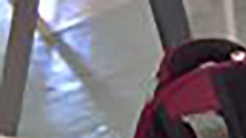 La Alianza Puertorriqueña de Arte invita a un curso de pintura.