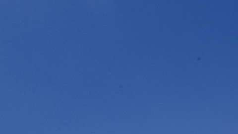 Miles participan en la Marcha de las Mujeres en Los Ángeles en enero de 2017. Aurelia Ventura/La Opinion