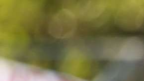 Manifestantes durante una protesta reciente a favor de DACA en Los Ángeles. (Aurelia Ventura/La Opinion)