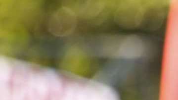 Manifestantes durante una protesta reciente a favor de DACA en Los Ángeles. (Aurelia Ventura/La Opinion)