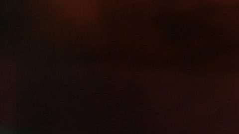 Vicente Fernández convive con fanáticos en su rancho.