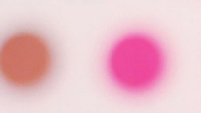 El Festival del chocolate caliente arropará tu estómago y tu corazón en este invierno en Chicago.