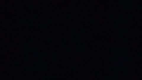 "La Marcha de las Mujeres" promueve agresivamente participación en elecciones al Congreso