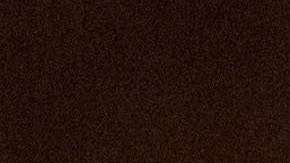 Manafort está bajo libertad condicional