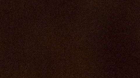 Manafort está bajo libertad condicional