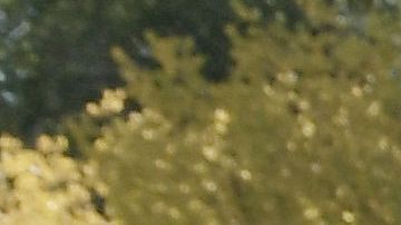 Miles de salvadoreños estarán en peligro de deportación tras la decisión del gobierno del presidente Donald Trump de cancelar su Estatus de Protección Temporal (TPS).