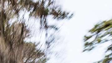 La nueva Ford Edge ST es un lujo de poder entre las SUV.