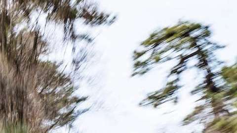 La nueva Ford Edge ST es un lujo de poder entre las SUV.