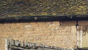 Este clásico está de vuelta.