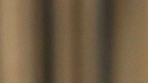 El presidente Trump cumplirá un año al frente del gobierno de EEUU.