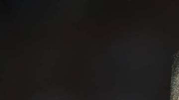 El delantero peruano Paolo Guerrero fue suspendido  por la FIFA. EFE