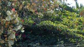 Ola de violencia en Acapulco. /EFE