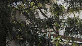 Asesinatos en Puebla. EFE