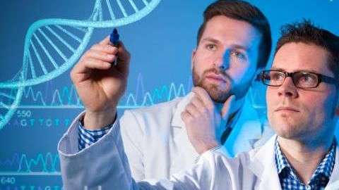 La edición del genoma es uno de los avances más significativos en las ciencias biológicas y tiene la capacidad de impactar millones de vidas.