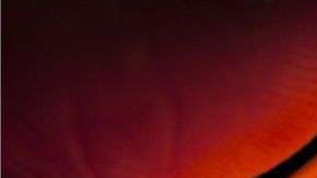 El empleado que activó el botón para activar la alarma fue "despedido temporalmente", según explicaron funcionarios estatales.