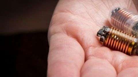 Esta es la capsula digerible.