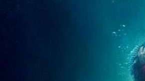 "La forma del agua" es una extraña fábula sobre el amor que se ha ganado el corazón de la crítica.