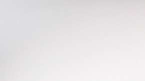 La mosca es corpulenta y fuerte como el actor.