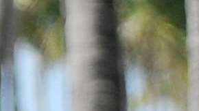 Carmen Villalobos es Catalina Santana en "Sin senos sí hay paraíso"