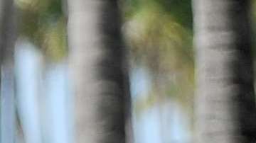 Carmen Villalobos es Catalina Santana en "Sin senos sí hay paraíso"