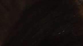 Omarosa y Ariadna Gutiérrez serán parte el reality show "Celebrity Big Brother"