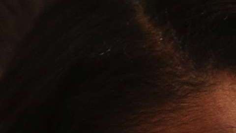 Omarosa y Ariadna Gutiérrez serán parte el reality show "Celebrity Big Brother"