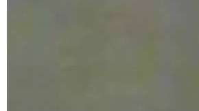 El Departamento de la Policía (NYPD)  compartió fotos de la sospechosa.