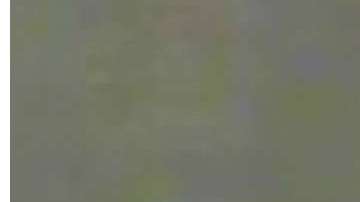 El Departamento de la Policía (NYPD)  compartió fotos de la sospechosa.