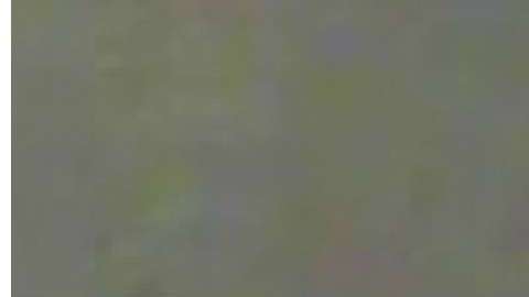 El Departamento de la Policía (NYPD)  compartió fotos de la sospechosa.