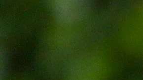 Demi Lovato, no quiere ser etiquetada.