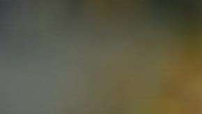 Landon Donovan regresa del retiro para jugar en la Liga MX