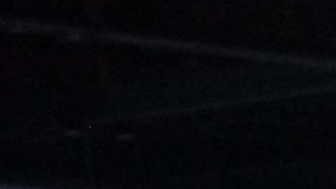 El Día de los Niños contó con la mascota local y las de los equipos del Super Bowl LII.