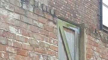 El gato está donde menos lo imaginas.