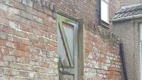 El gato está donde menos lo imaginas.