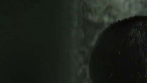 Serie "premium" de Telemundo, "El Recluso", consta de 13 capítulos