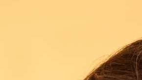 Fey Berman escribió sobre la diversidad de la cultura mexico-americana.