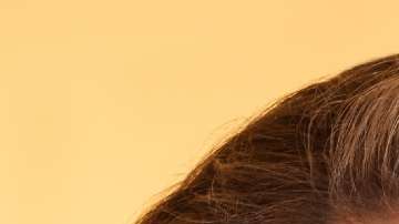 Fey Berman escribió sobre la diversidad de la cultura mexico-americana.