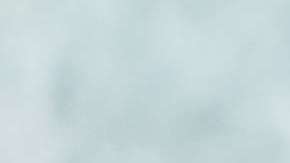 Las carnes rojas son "veneno" para el organismo.