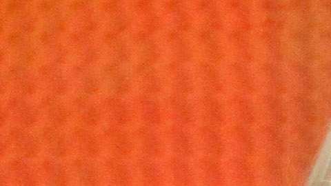 Margot Robbie fue nominada a los Globos de Oro.