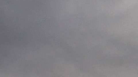 Los trabajadores indocumentados ya comenzaron a faltar en las granjas.