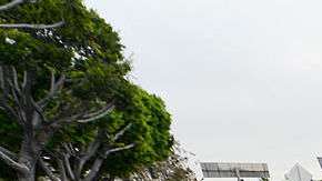 Los DREAMers enfrentarán la prueba más difícil de su historia.