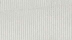 La NASA está en paro temporal.