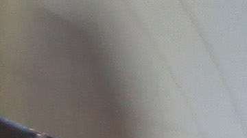 USCIS busca reducir los fraudes en los programas de asilo.