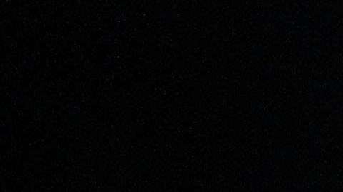 Dennis Rodman. Getty Images