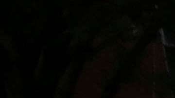 La mujer de 29 años fue arrestada. (Archivo / Getty Images)